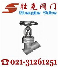 上海胜克内螺纹与承插焊Y型截止阀参数详解与报价指南